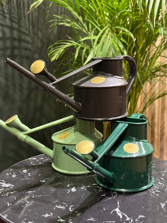 Haws Langley watering can
