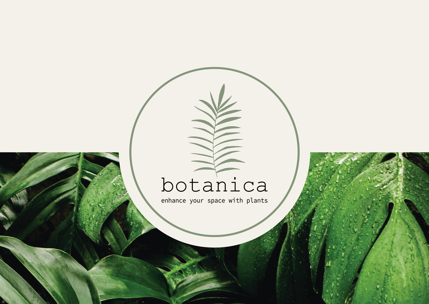 Plant Styling – Botanica Plant Store