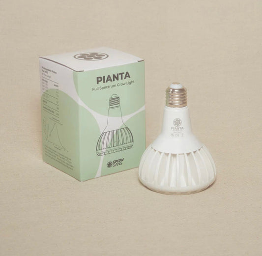 Pianta LED Grow Light Bulb : Boost your plants' growth in style