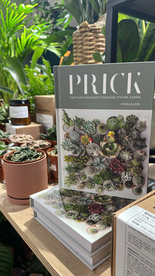 Cactus, Prick, Plant Book