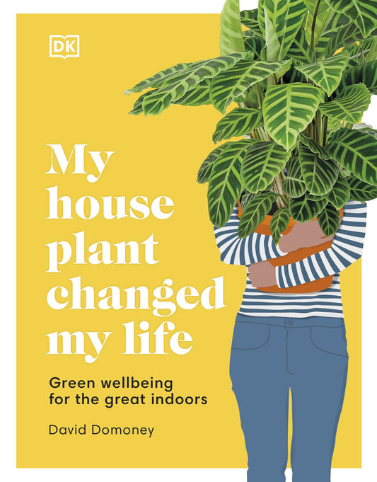 My house plant changes my life