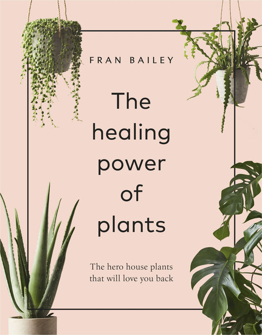 Healing power of plants book