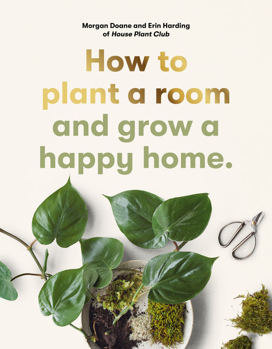 How to plant a room and grow a happy home book