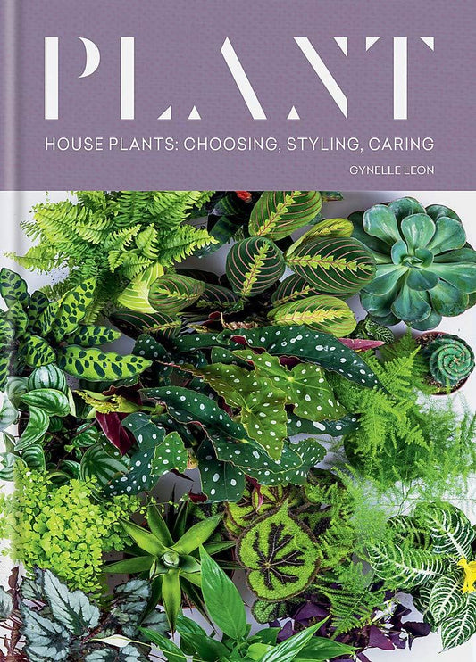 Plant, houseplant styling book